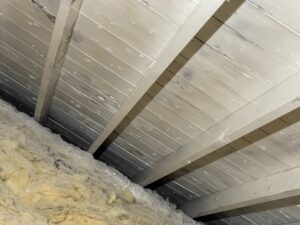 Mold removed and treated from attic
