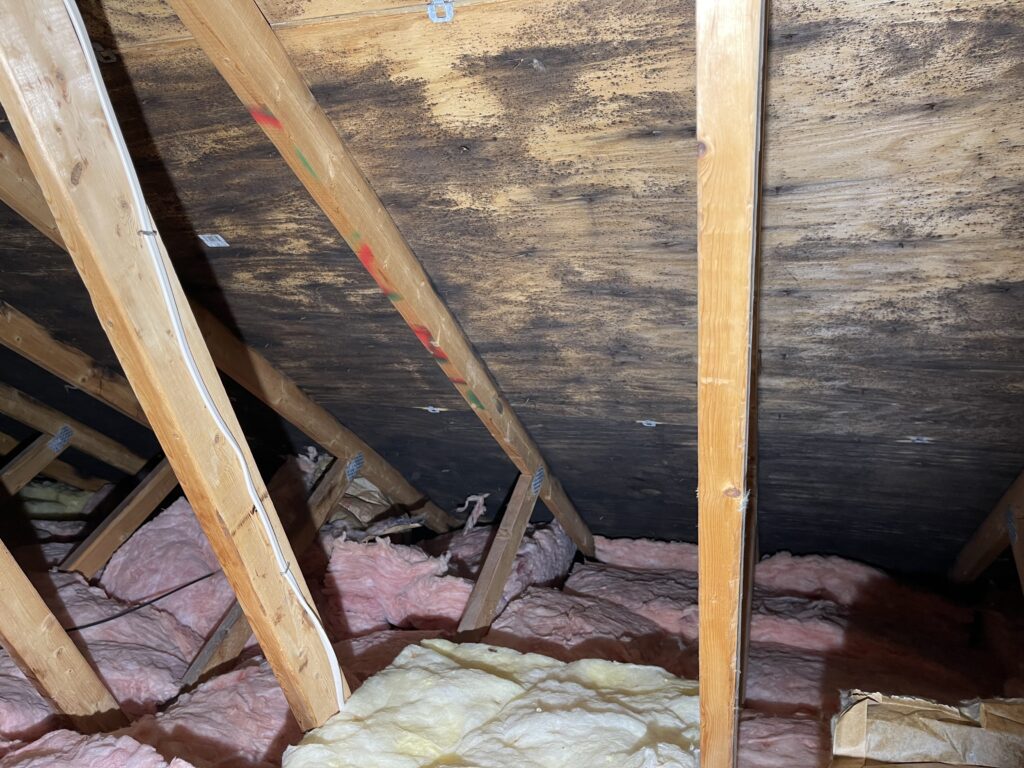 Attic mold due to insulation stuffed soffits- no ventilation