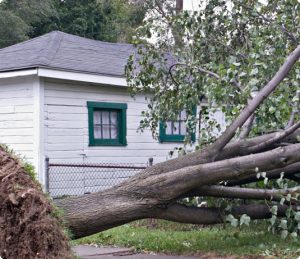 Storm-Damage-3