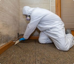 Gforce Restoration-Partner With Us